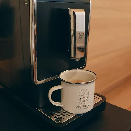 Apartment Z'uebrmello *